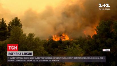 Новости мира: лесные пожары вплотную приблизились к Афинам, а во Франции обнаружили двух жертв огня