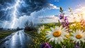 Дощ і гроза