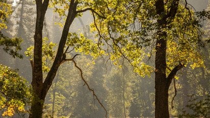 Осінь / фото ілюстративне