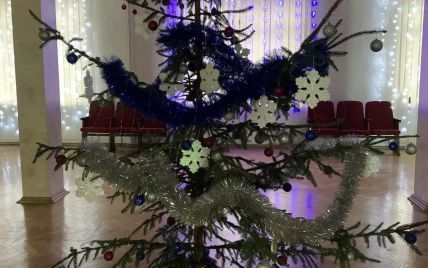 "Прошлогодняя?": в Сети высмеяли лысую новогоднюю елку в Минюсте (фото)