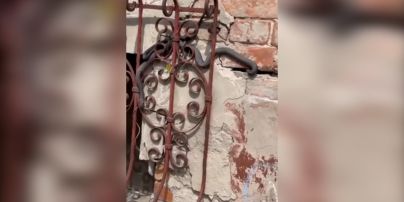 У Харкові змії окупували будинок