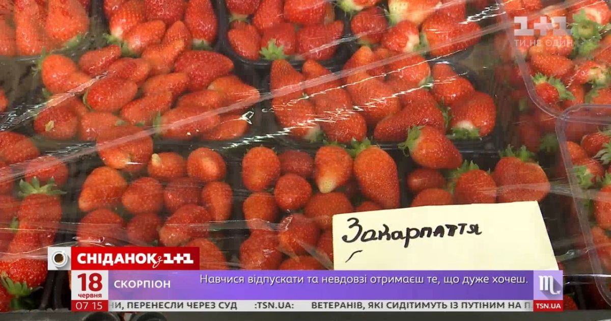 В этом году соберут больше урожая, чем запланировано