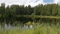 В Україні очікується комфортна погода