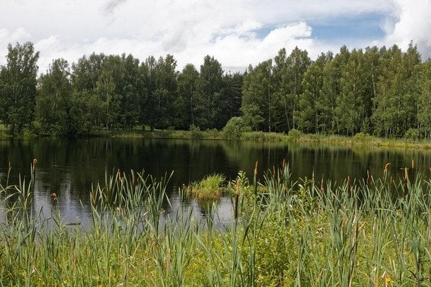 Жара постепенно отступает — прогноз на 3 августа