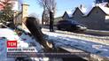 ДТП в Самборе: в каком состоянии пострадавшие и какая причина наезда