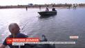 У Лазурному рятують двох дельфінів, які запливли на мілину і не можуть вибратись у море