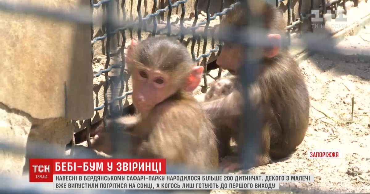 В бердянском зоопарке появилось более 200 маленьких зверят