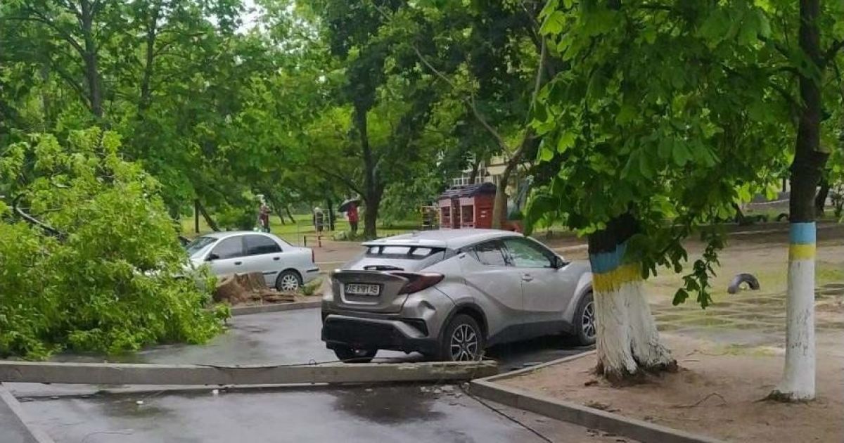 Фото: "Днепр Областной"