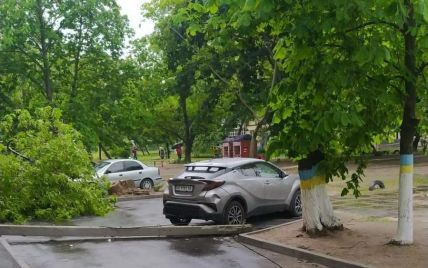 Днепр накрыл ураган: ветер повалил столбы и деревья, они чуть не разбили машину (фото)