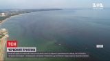 "Красный прилив": одесское побережье заполонили розовые водоросли