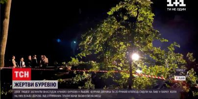 Новости Украины: во Львове двое молодых людей погибли из-за падения ветви во время урагана