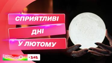 Гороскоп на февраль от мастера фэн-шуй Давида Векуа