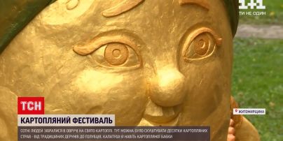 Новини України: в Овручі встановили пам'ятник картоплі