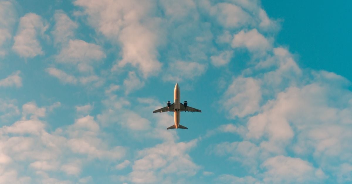 Тест за малюнком Фото: unsplash