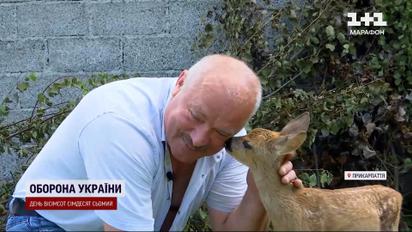 Врятував козулю та зробив її зіркою соцмереж!