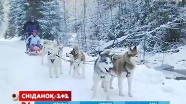Мой путеводитель. Заснеженные Карпаты