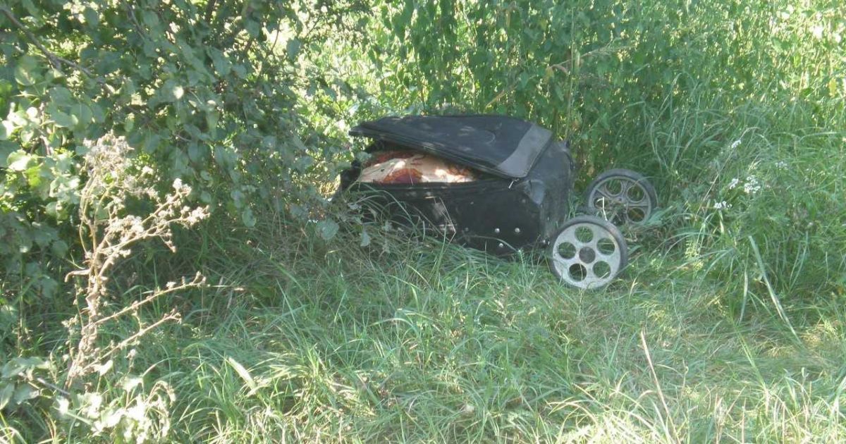 Кривавий сховок: під Києвом на прогулянці з собакою жінка натрапила на валізу із розчленованим тілом