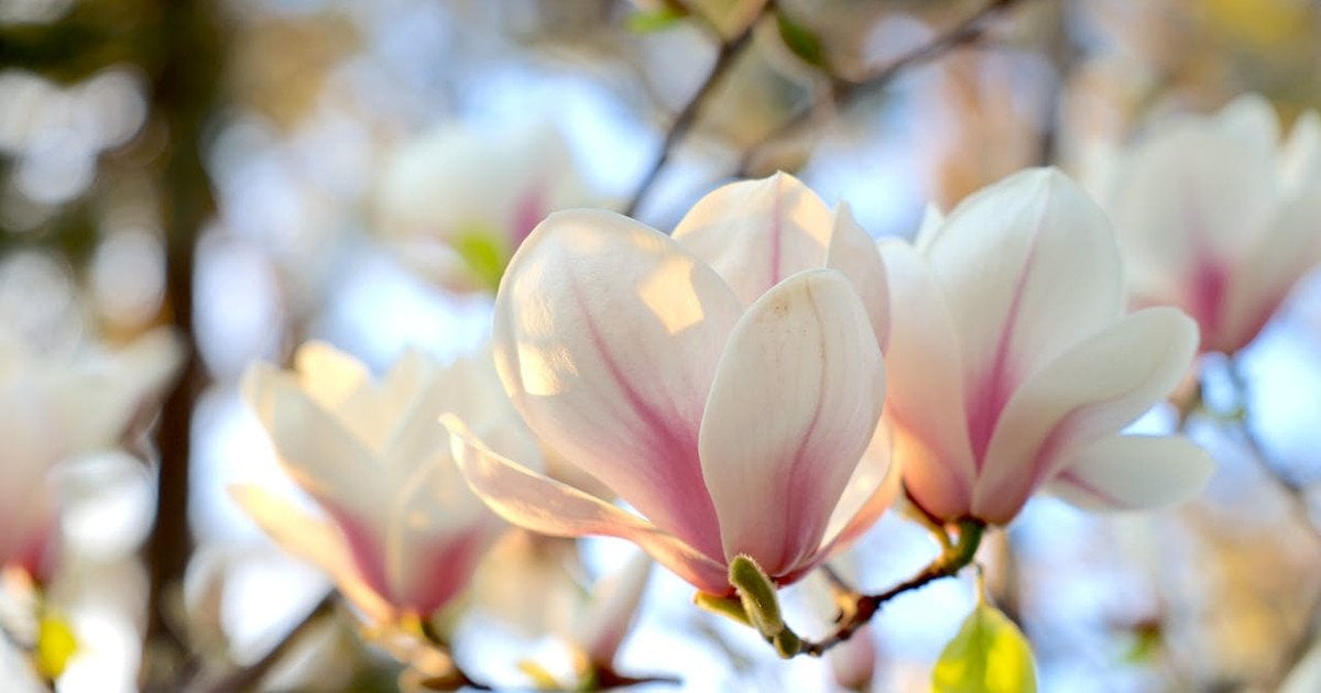 Який сьогодні, 12 квітня, день ангела