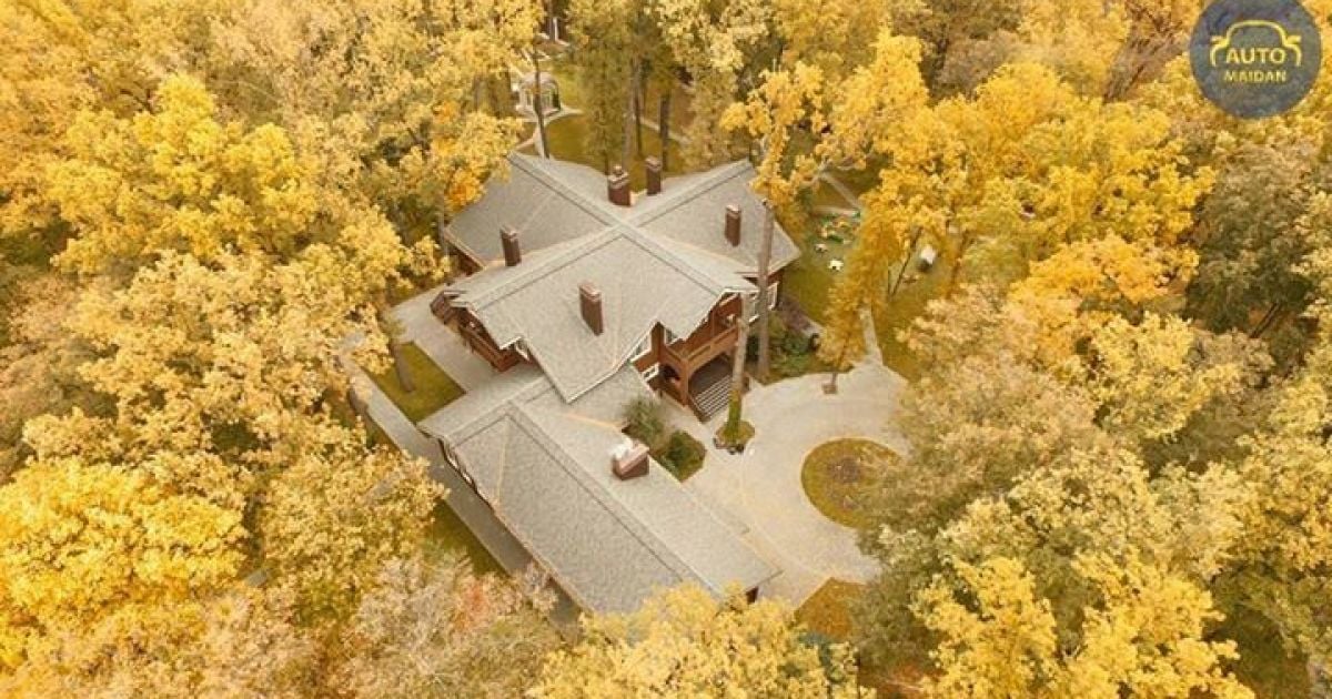 Особняк Добкина оформлен на мать