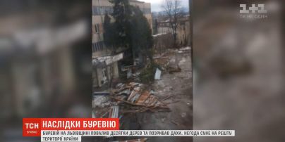 Пошкоджені покрівлі та повалені дерева: негода накоїла лиха у Львівській області