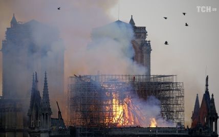 В ЮНЕСКО пообещали помочь восстановить Нотр-Дам после масштабного пожара