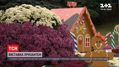 У Києві з осінніх квітів облаштували зефірну фортецю