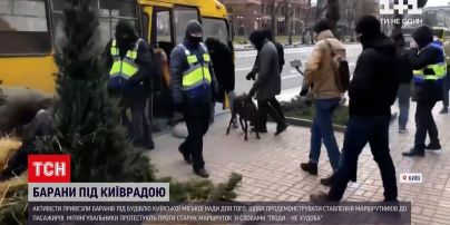Новини Києва: патрульні на площі перед КМДА ловили баранів та овець