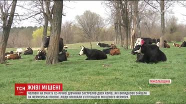 На Миколаївщині чоловік впритул застрелив двох корів на очах у дитини