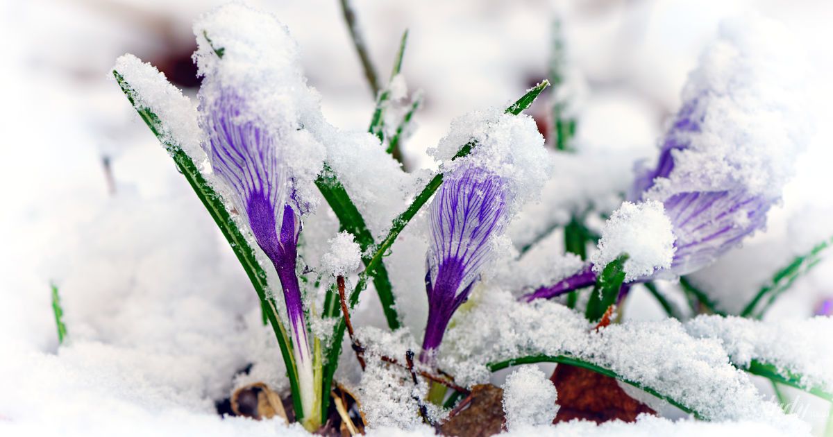 Гороскоп на 2 березня для всіх знаків Зодіаку