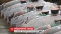 На всемирно-известном рыбном рынке Цукидзи состоялись первые в новом году торги