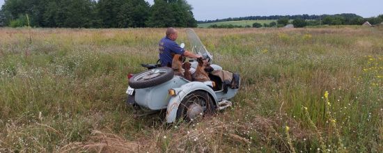 На Черкащині чоловік щодня возить собак мотоциклом на прогулянки