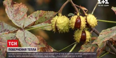 Погода в Украине: температура воздуха станет выше, но тепло будут сопровождать дожди