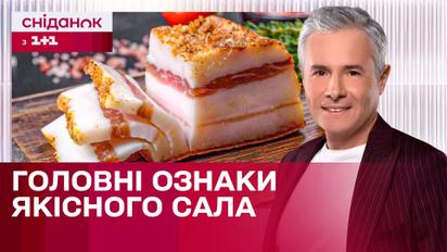 Бренд украинской кухни! Чем полезно сало? | Знаю – потребляю