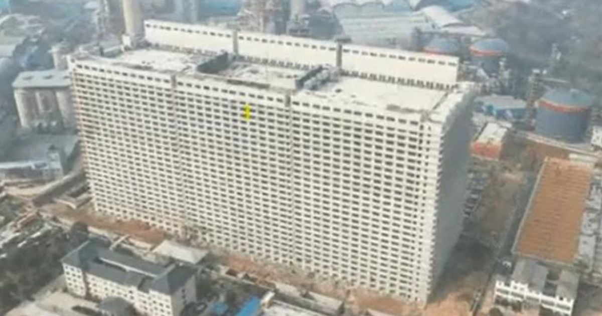 У Китаї почали розводити свиней у 26-поверхових хмарочосах