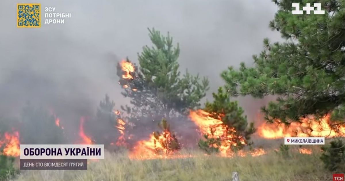 На Миколаївщині після займання вигоріло 250 гектарів лісу: сусідні села заполонила кіптява і димова завіса