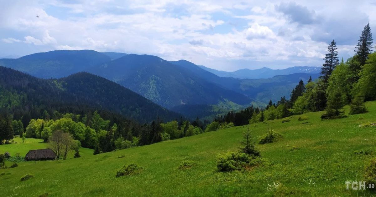 фото: Ольга Кузьменко