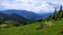 фото: Ольга Кузьменко