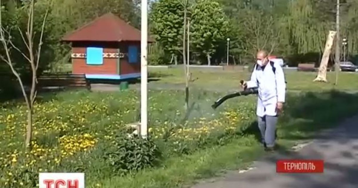 Обробка парків від кліщів