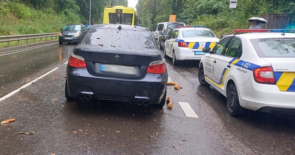 Недалеко от Львова на BMW упало дерево