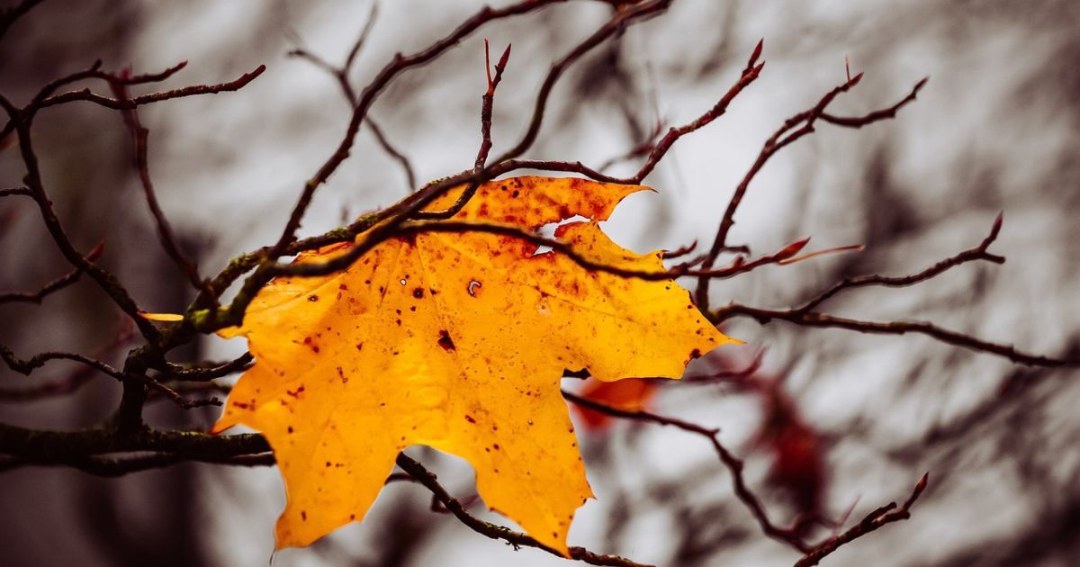 У суботу стане холодніше