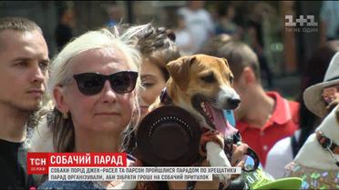 Песики у сукнях та метеликах вражали Хрещатик