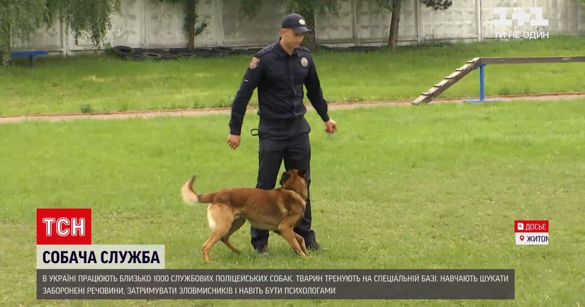 Новости Украины: как тренируют полицейских псов