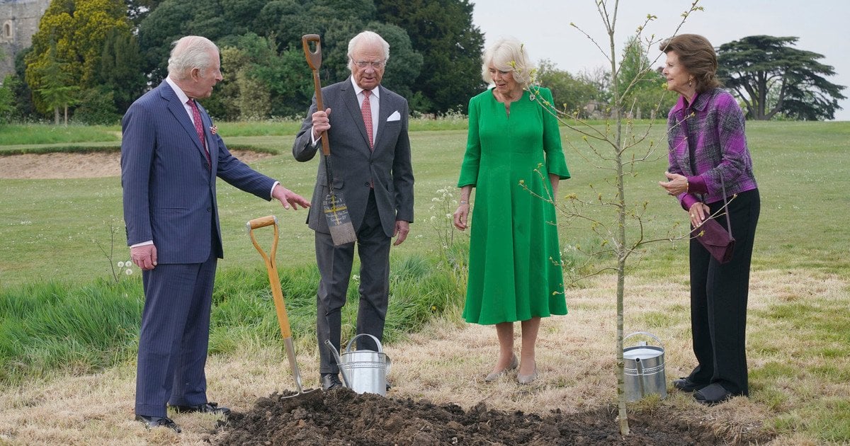 Король Чарльз та король Карл Густав із королевами Каміллою та Сільвією