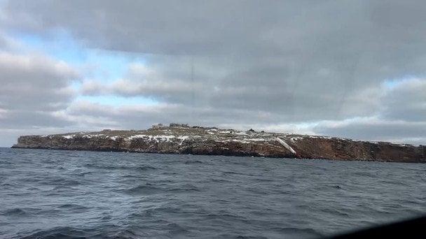 Дорога до Зміїного