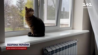 Найскладніша зима позаду: як Україна пережила блекаут та російські обстріли