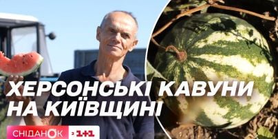 Херсонские арбузы с киевской пропиской: как в Яблоновке фермеры начали экспериментальное дело
