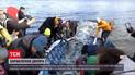 Новини Києва: члени рибальського клубу випустили у Дніпро 3 тонни коропів, білих амурів та товстолобів