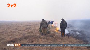 У мережі користувачі сміються з того, як у Росії гасять пожежу гіллям дерев