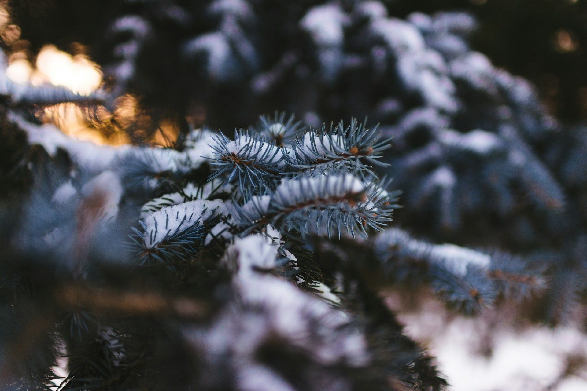 Народні прикмети 12 лютого / © Unsplash