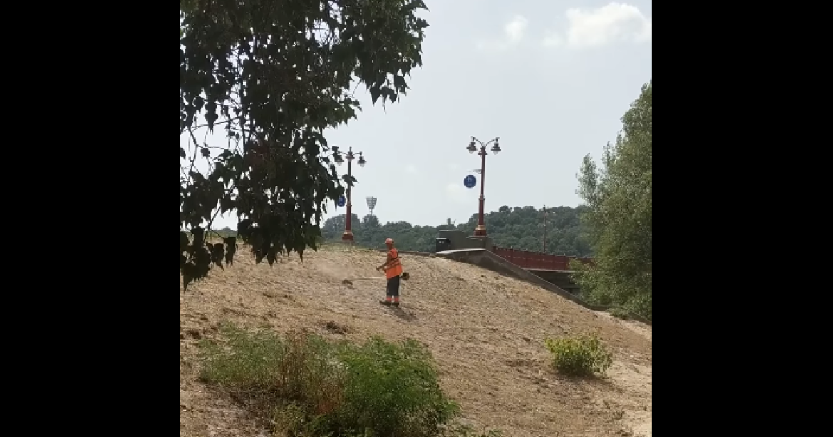 В Киеве на Трухановом острове "косят" песок вместо травы: видео
